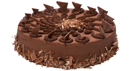 Chocolate Fudge Cake (B)